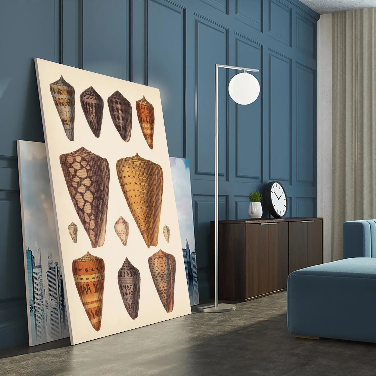 Antique Cone Shells I