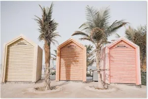 Beach Huts And Palms
