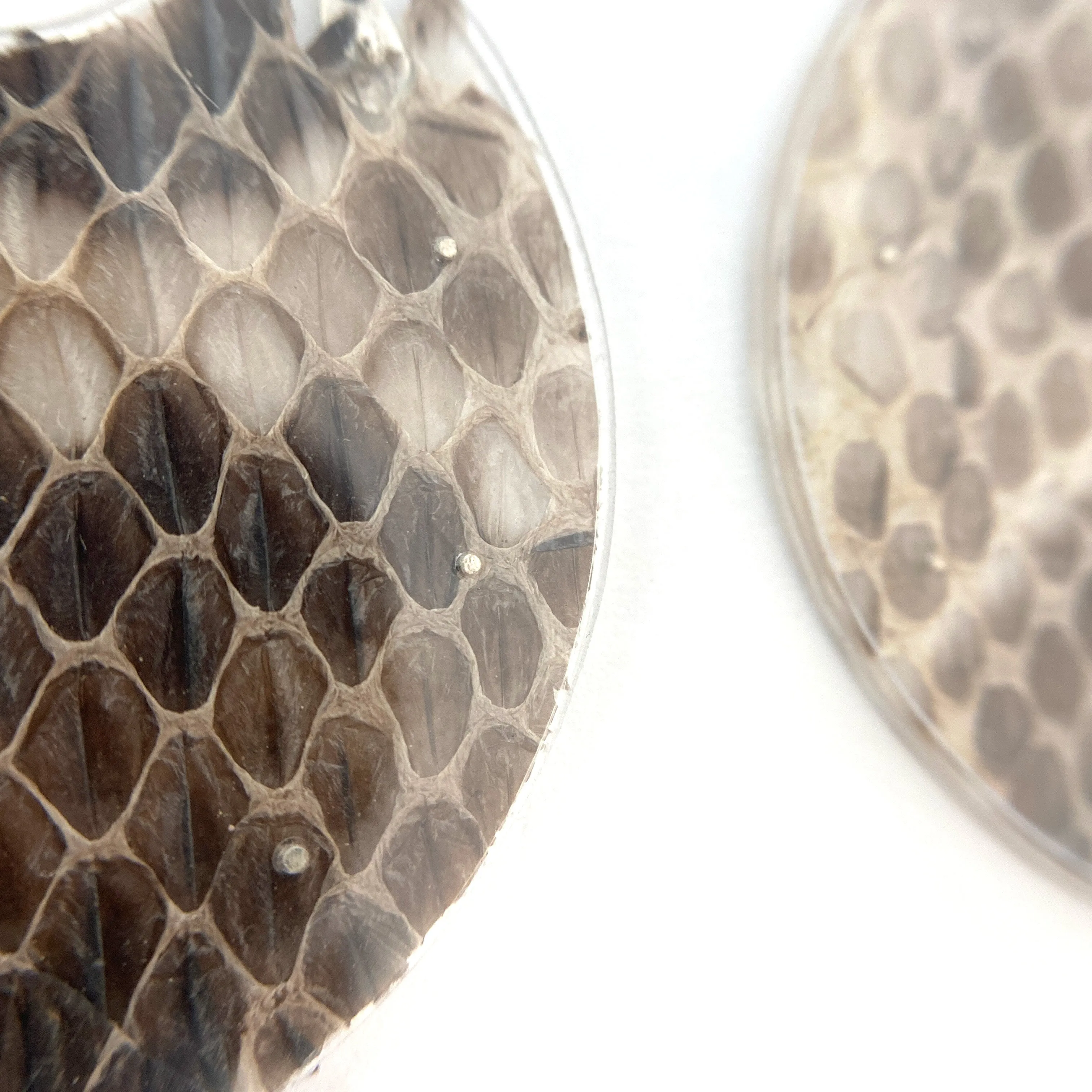 Snakeskin Hoops - Large